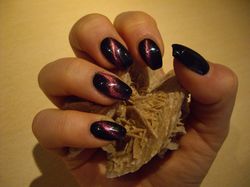 cat eye nuit saharienne.JPG